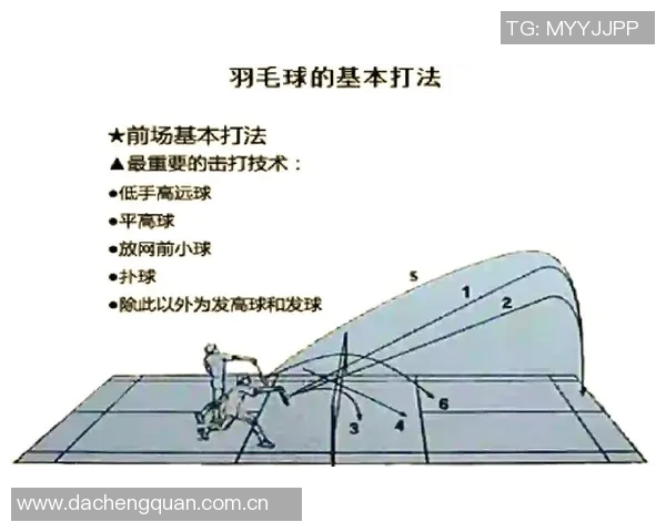 羽毛球盛宴:深入武汉羽毛球队的技术与训练揭秘