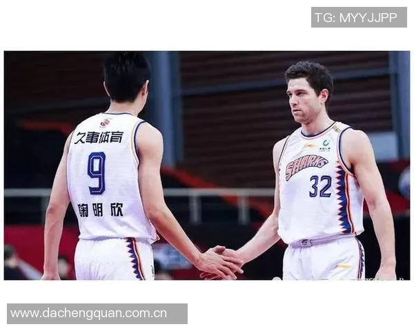 赛后分析：西安篮球队与上海篮球队的竞技状态及表现评估
